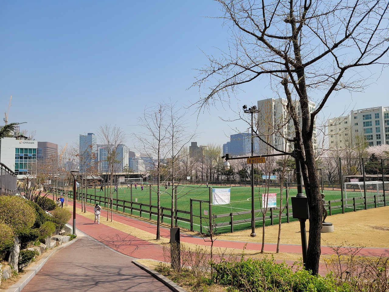 本赛季展现