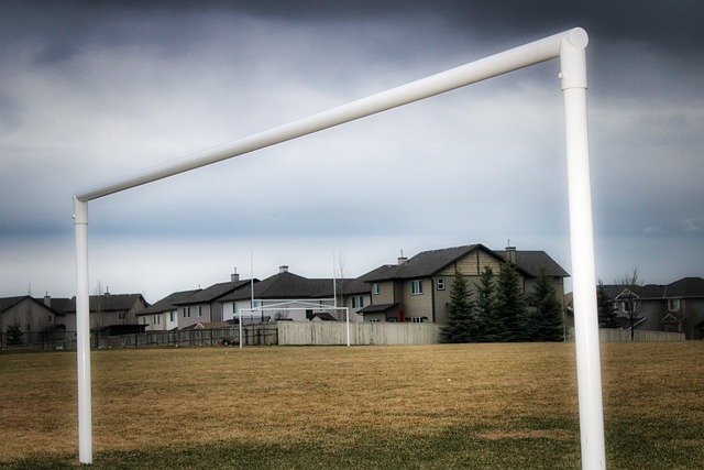 中格外明显 中格外明显