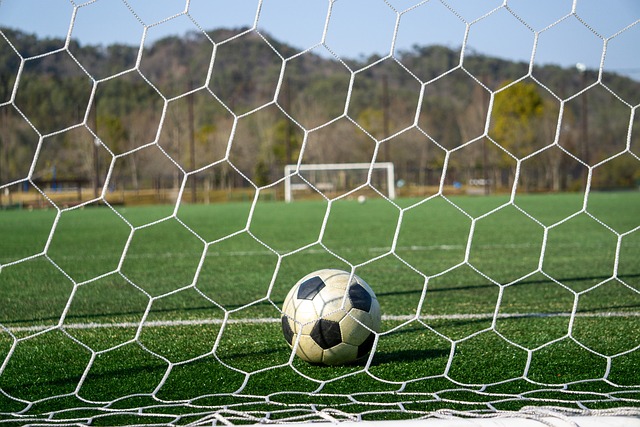 为北京提供 为北京提供