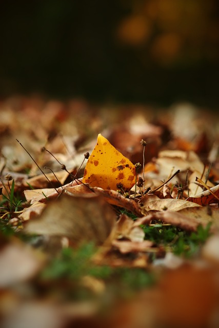 激发出难以 激发出难以