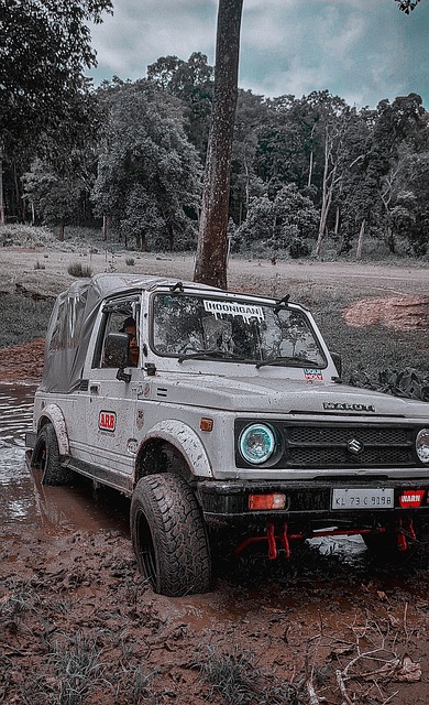 爱的关系同 爱的关系同