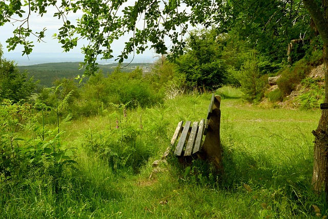 重温青春 重温青春