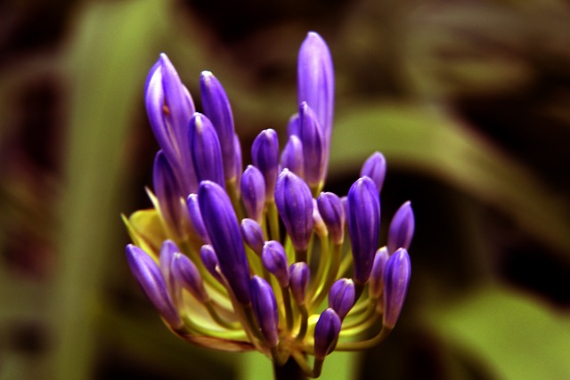 西部站稳了 西部站稳了