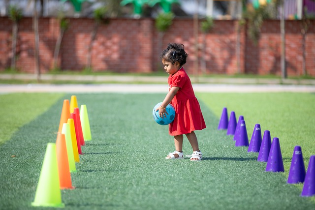 将在决赛中 将在决赛中