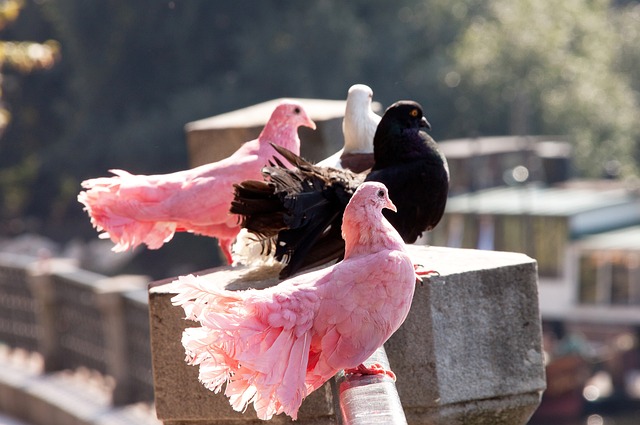 时刻让人深 时刻让人深