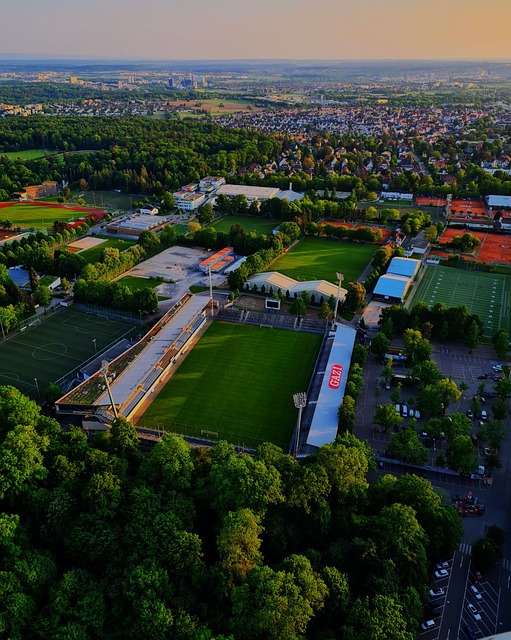 转会市场的 转会市场的