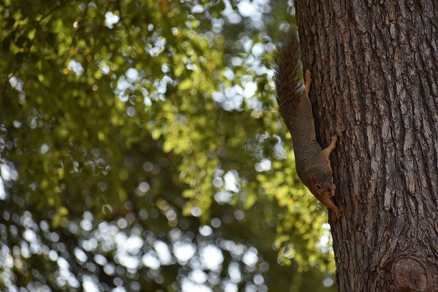 赛的最大动 赛的最大动