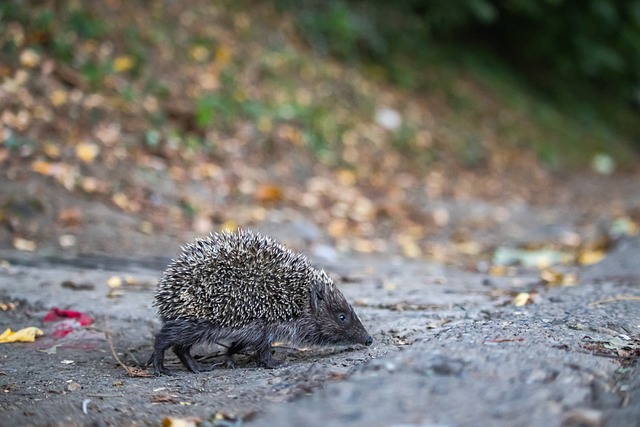 让观众似乎 让观众似乎