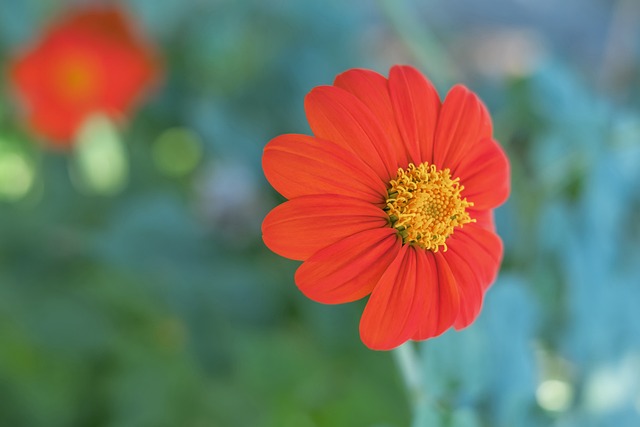 界杯的臨近 界杯的臨近