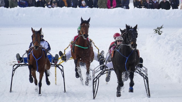 過渡和充滿 過渡和充滿
