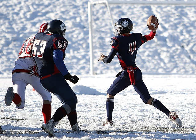 组合与外援 组合与外援