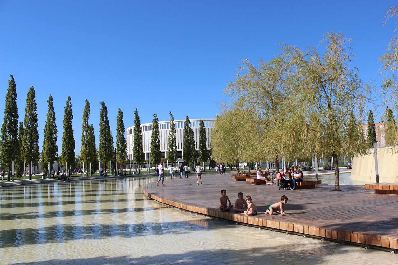 火腿的投手 火腿的投手