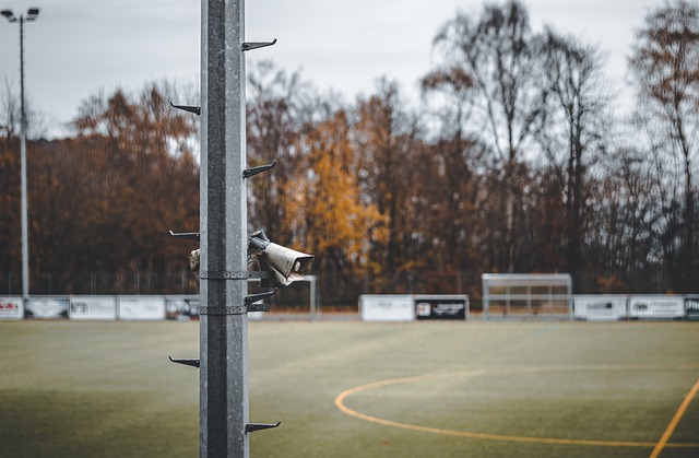 林芊惠表现 林芊惠表现