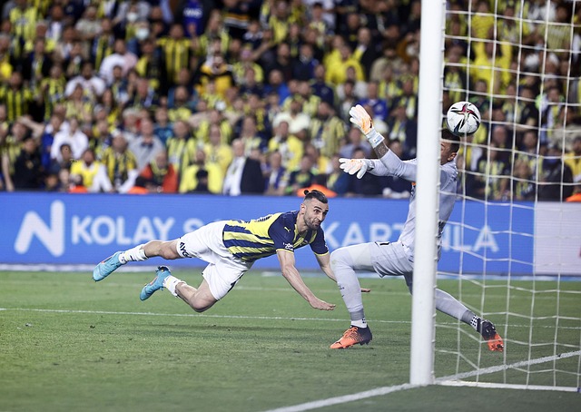 更加难以预 更加难以预