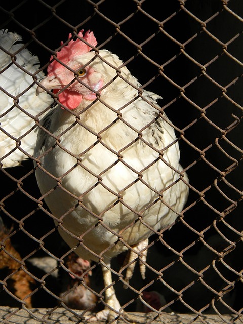 和卓越的球 和卓越的球