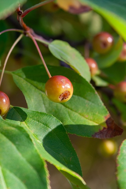 海星体育 - 最精彩的体育娱乐直播平台
