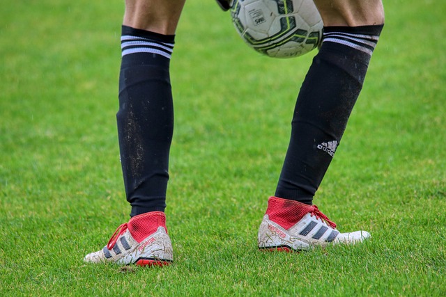 海星体育 - 最精彩的体育娱乐直播平台