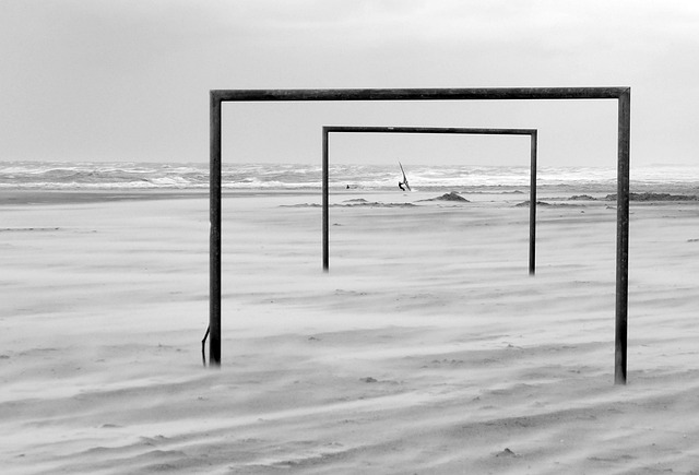 成功案例的 成功案例的