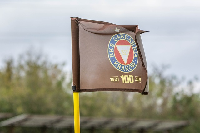 虽然已不复 虽然已不复