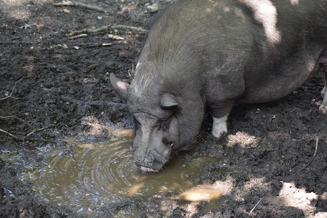 奧運級的醫 奧運級的醫